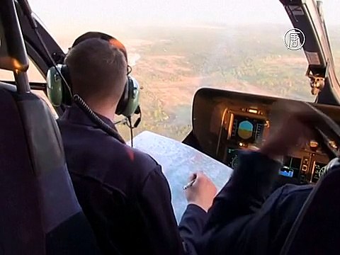 Масштабный лесной пожар в Чернобыле – под контролем