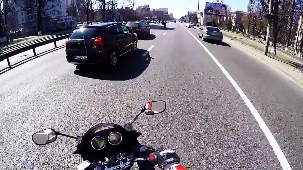 Des motards se mobilisent pour aider un chien sur la route...