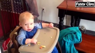 Funny video - Funny Animal - Funny babies Compilation the best 2015