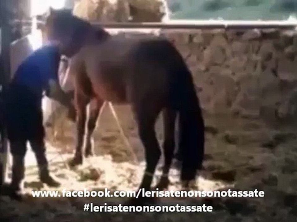 E lo chiamavano "cavallo pazzo!"...