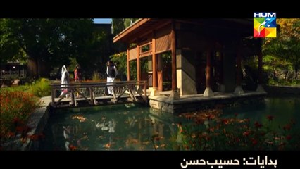 Diyar-e-Dil's Fara & Wali on Uzair Jaswal's Tere Bin