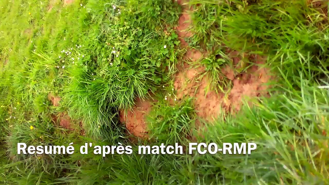 Résumé d'après match par deux petits comiques