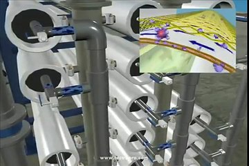 Reverse Osmosis Process