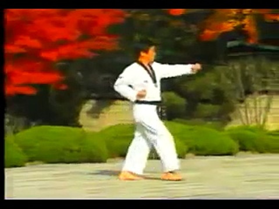 taekwondo poomse 2