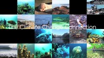 Two Minutes on Oceans w/ Jim Toomey: The Climate Change Connection