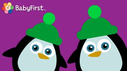 Des Chiffres Autour du Monde: deux pingouins