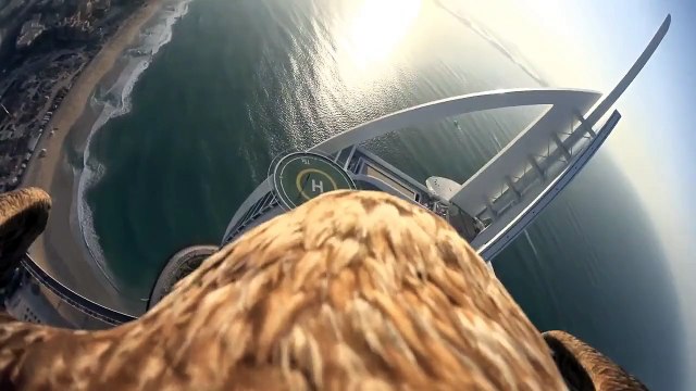 Dunya News - Burj Khalifa Bird's Eye View