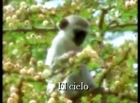 Santo Santo Santo - Marcos Witt