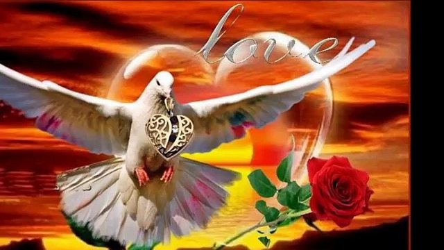 VusaL Eliyev -Ya Sev Ya Öldür meni ..Ay MaRaL Can