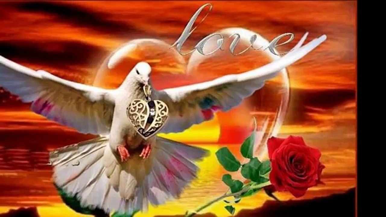 VusaL Eliyev -Ya Sev Ya Öldür meni ..Ay MaRaL Can