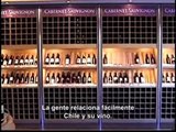 Vinos de Chile - Español - ProChile
