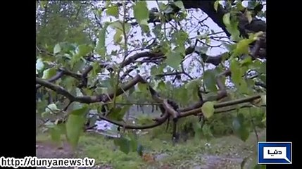 Dunya News - Hailstorm destroy crops in China