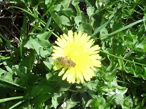 when the sun shines it shines forever...