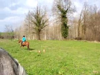 Fossé + bordure maraîchère