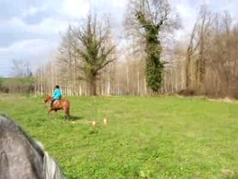 Fossé + bordure maraîchère