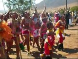 Dancing for the King of the Zulus - Natanya van der Lingen