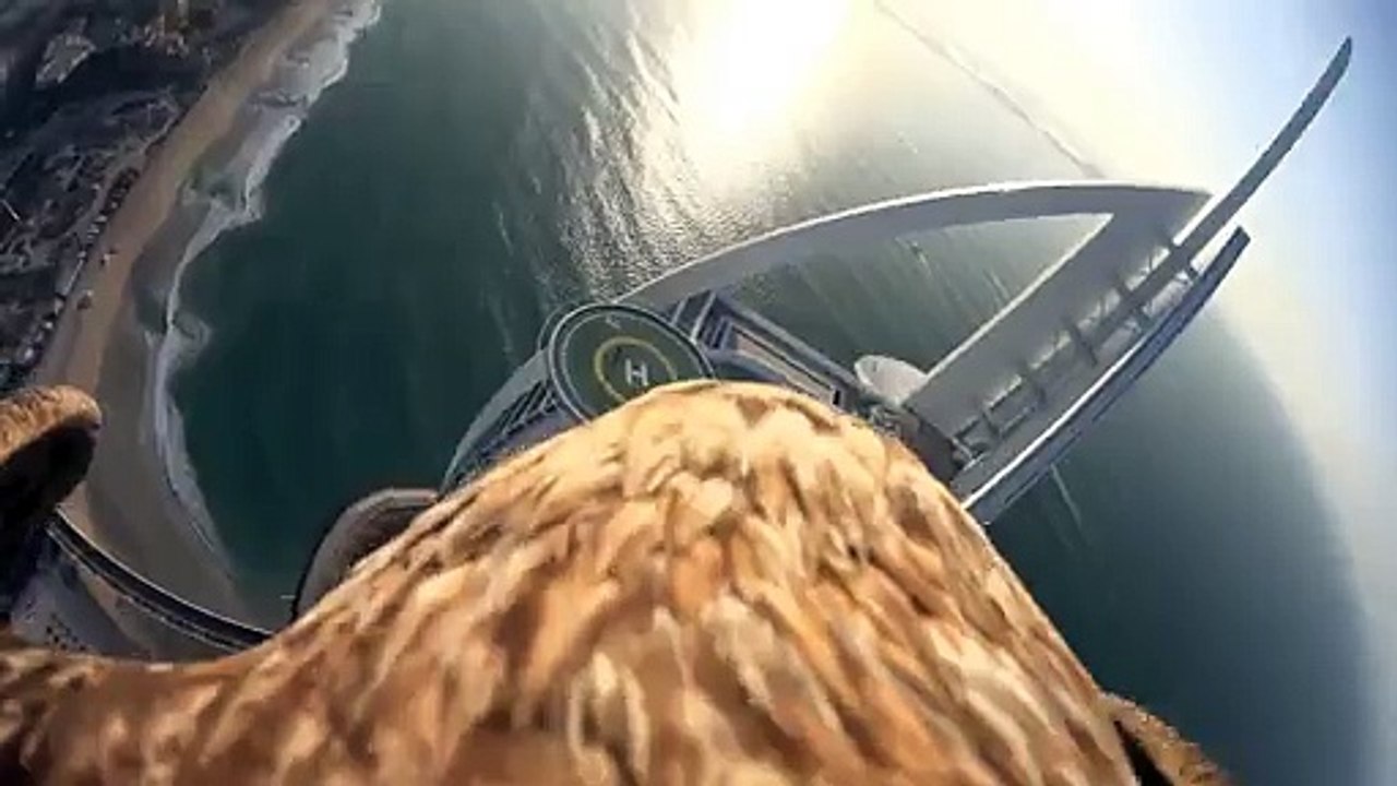 Burj Khalifa Bird Eye View