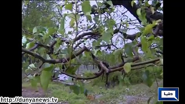 Hailstorm destroy crops in China