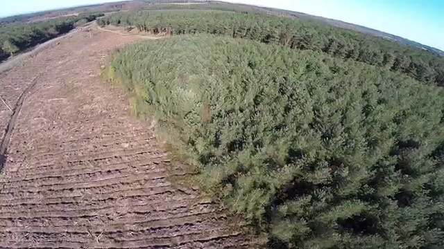 Drone captura imagem de menina de olhos negros