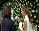 Agua Fresca de Rosas celebra su 20 aniversario con 18.000 rosas en el metro