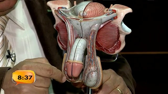 bd-prepucio-bebe-050315