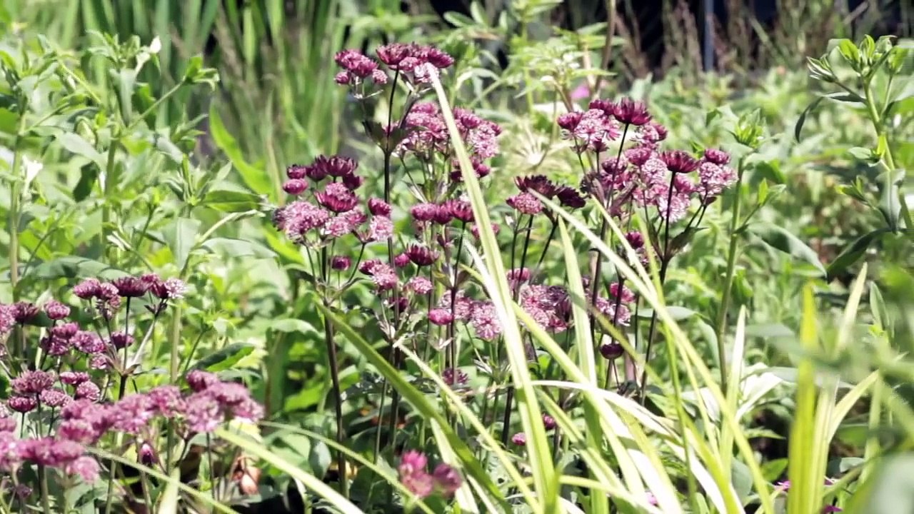Serpentine Gallery Pavilion 2011 by Peter Zumthor
