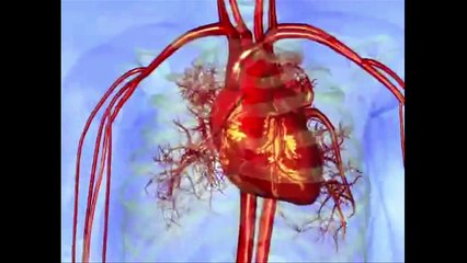 Cardiology:  Resetting your Heart's Rhythm