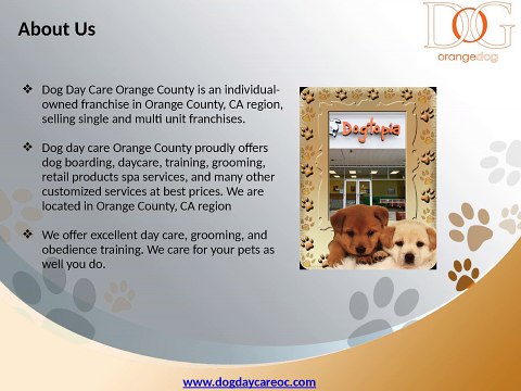 Choosing a Great Dog Day Care in Orange County, California