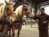 Paris gets horse-driven carriages