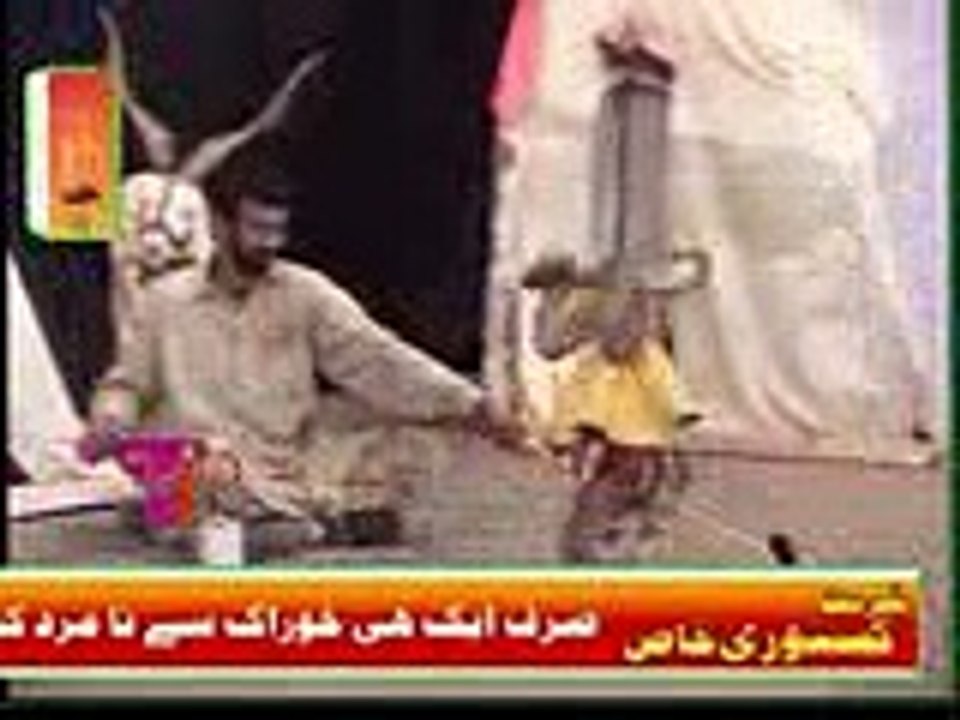 Funny monkey dance