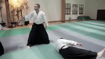 Démonstation Aikido LEVY-NEUMAND Sensei DOJO LYON MASSENA