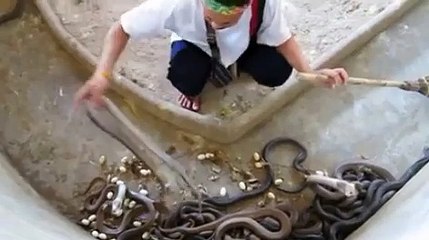 OMG!!! Cet homme élève des cobras, regardez comment il aménage leur cage...