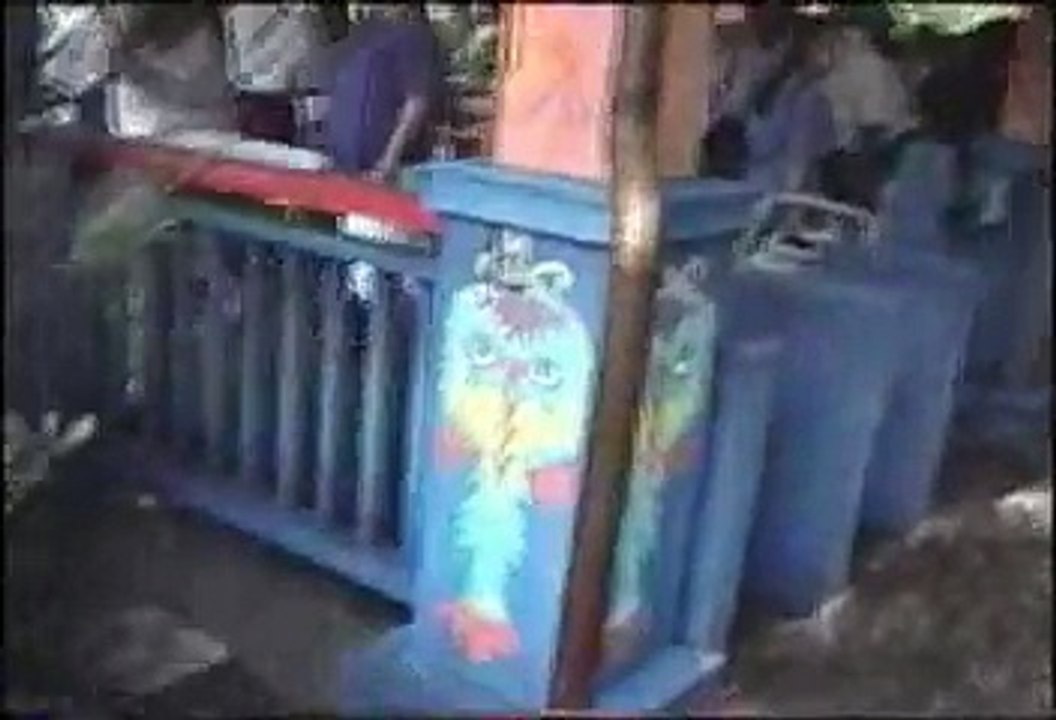 Discovery River Boats (Disney's Animal Kingdom) Pt. 1 of 2