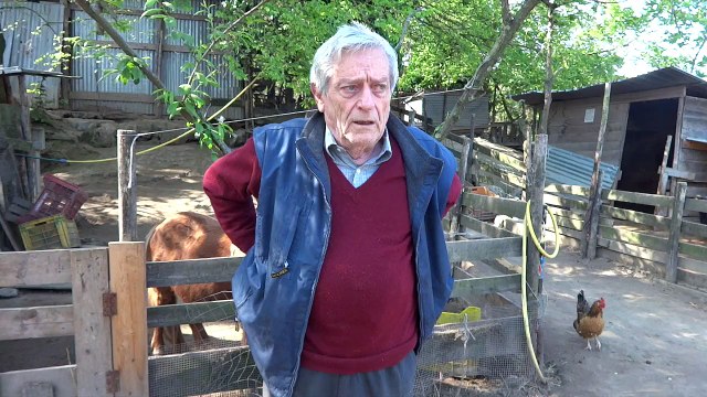 Bertini: Dovrebbero far politica gli animali