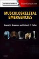 Download Musculoskeletal Emergencies Ebook {EPUB} {PDF} FB2