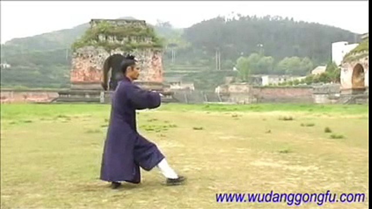 Wudang Taiji 13 (武当太极13势) - Master Yuan Xiu Gang (袁修刚)