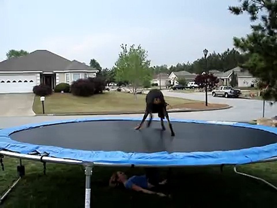 doberman