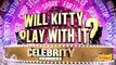Grumpy Cat & Fidget on Friskies Cat Game Show - Will Kitty Play With It?