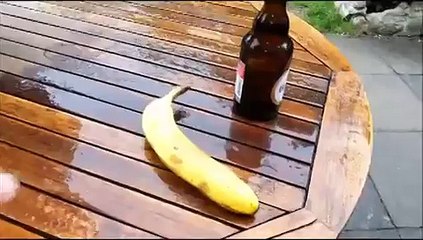 Muz İle Şişe Nasıl Açılır-