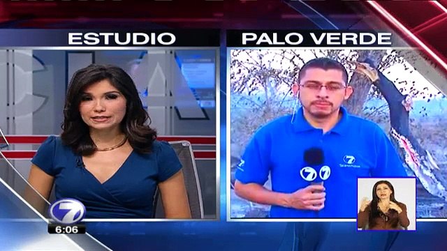 tn7-incendio-palo-verde-110215