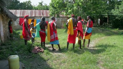 The Beach Boys: Objects of Desire