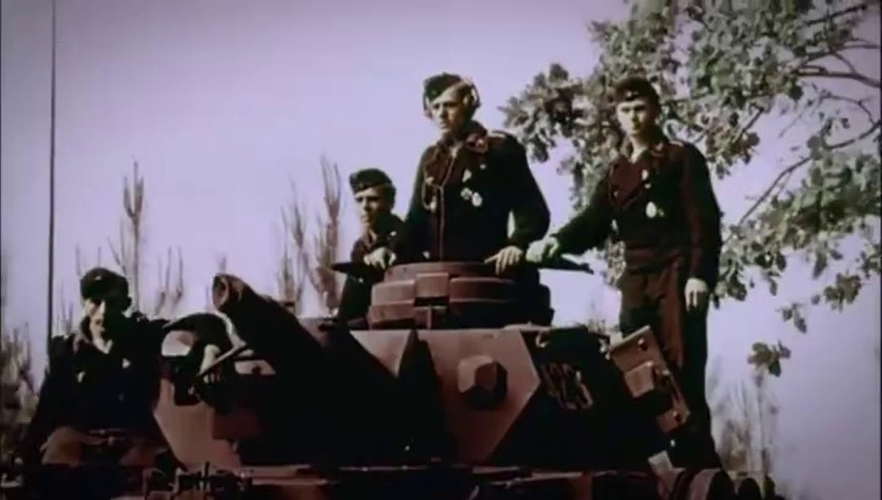 Das Reich, une division SS en France - Extrait