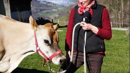 CAP INFO - 29 Avril 2015