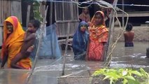 Sufia's story: climate change in Bangladesh