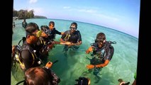 Scuba diving with Barefoot at Havelock,Andaman and Nicobar Islands,India