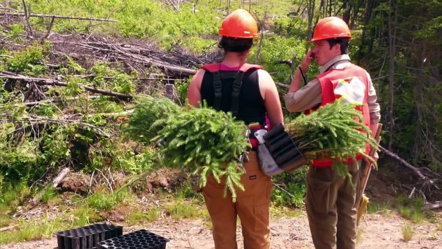 Témoignage Patrick Pineault, ingénieur forestier, Émission Rendez-vous Chasse et Pêche