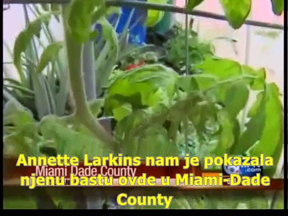 Mozete li da pogodite njeno godiste - Kan du gissa hennes år :)