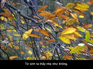 Người Thương Binh - nhạc Anh Bằng - ca sĩ Đặng Thế Luân