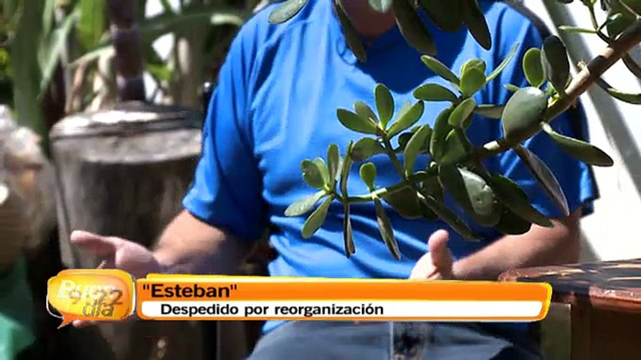 bd-despidos-110215