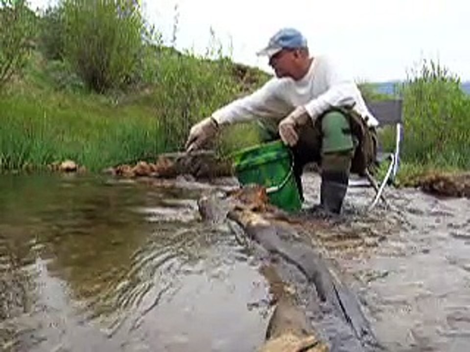 Gold Prospecting Cache Creek, Colorado -- Sluicing For Gold